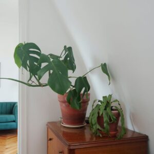 Mooie kunstbloemen: zo kies je de juiste steelhoogte per vaas