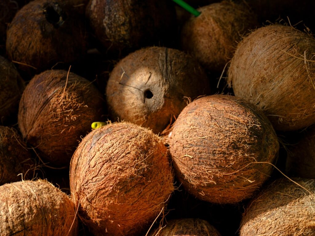 Kokosolie op je huid: een natuurlijke beauty-keuze met voor- en nadelen