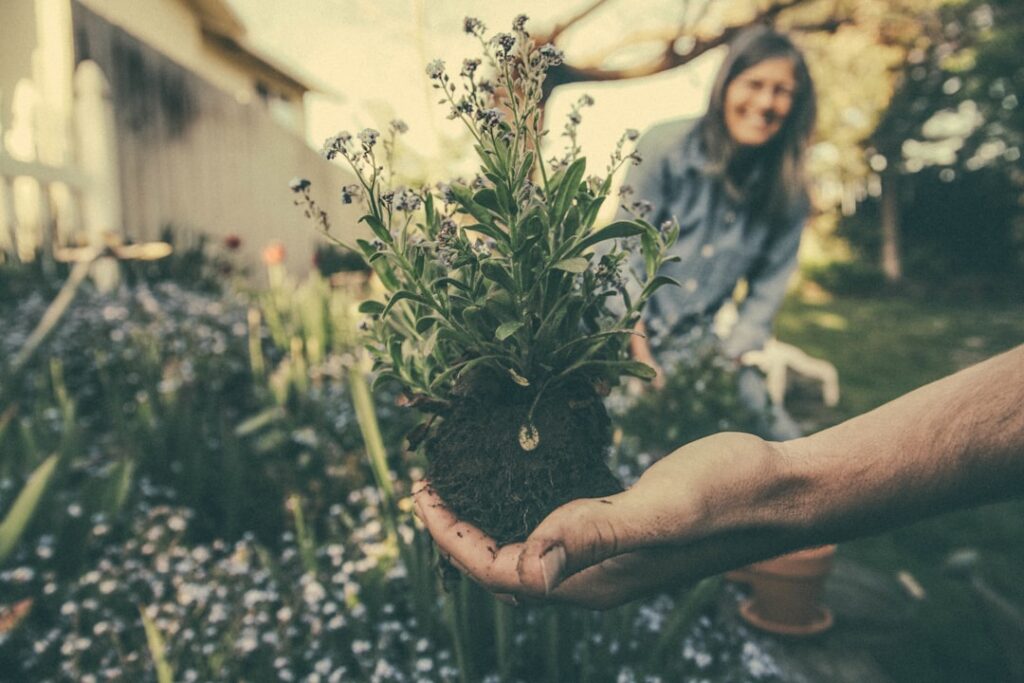 Tuinieren: goed voor lichaam, hoofd en je tuin
